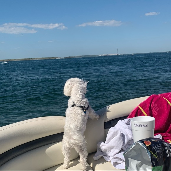 Meet your Posher, Megan - Picture 1 of 1